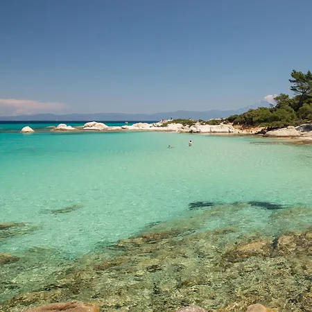 Vsp Rent Fuego *